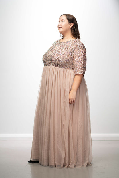 Maya Taupe Blush Embellished Maxi Dress